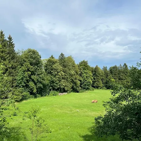Fewo Staudinger Irschenberg Exterior foto